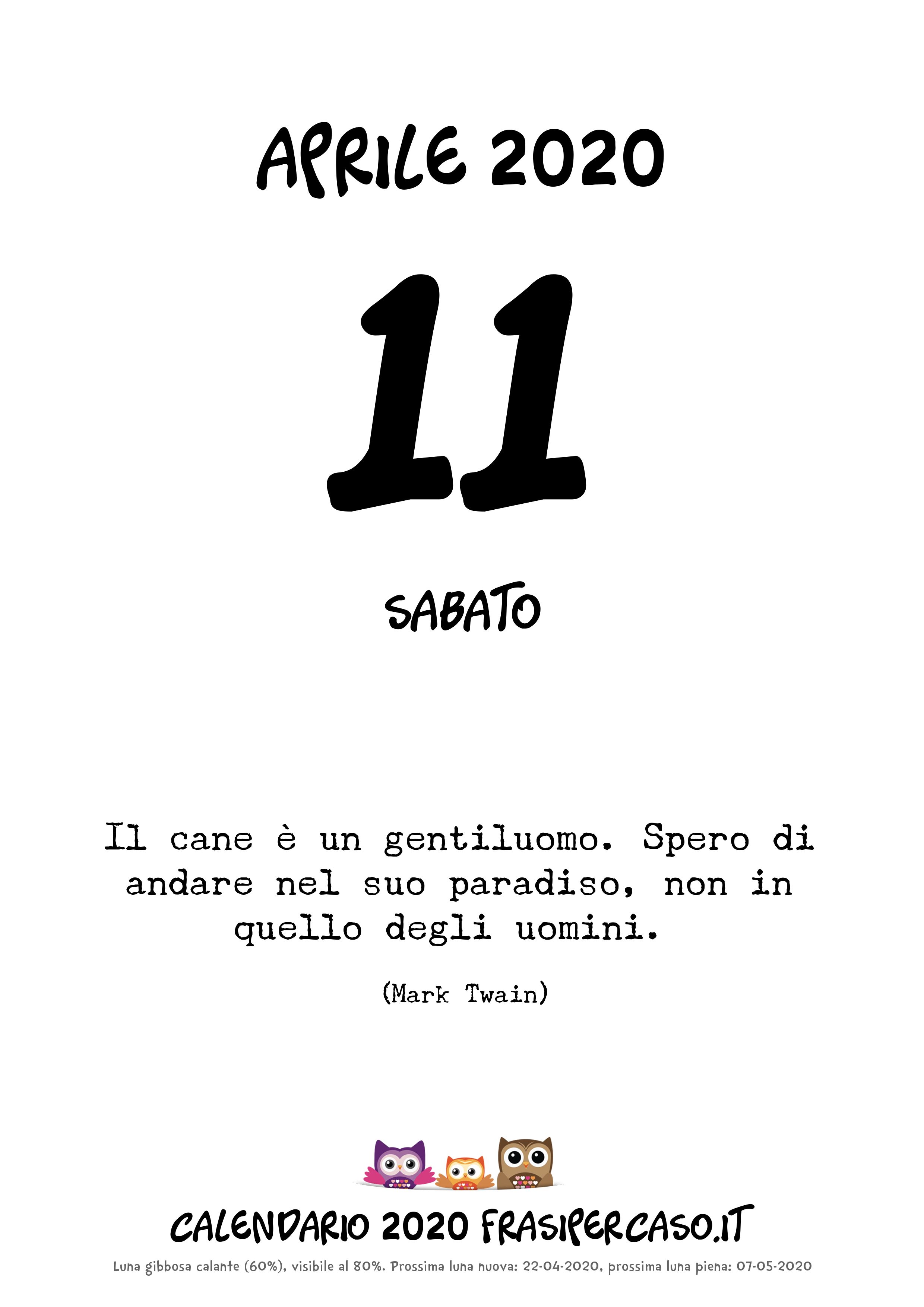 Frasi Matrimonio Zen