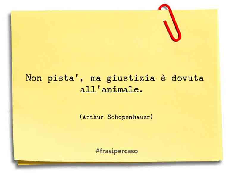 Una citazione di Arthur Schopenhauer by FrasiPerCaso.it