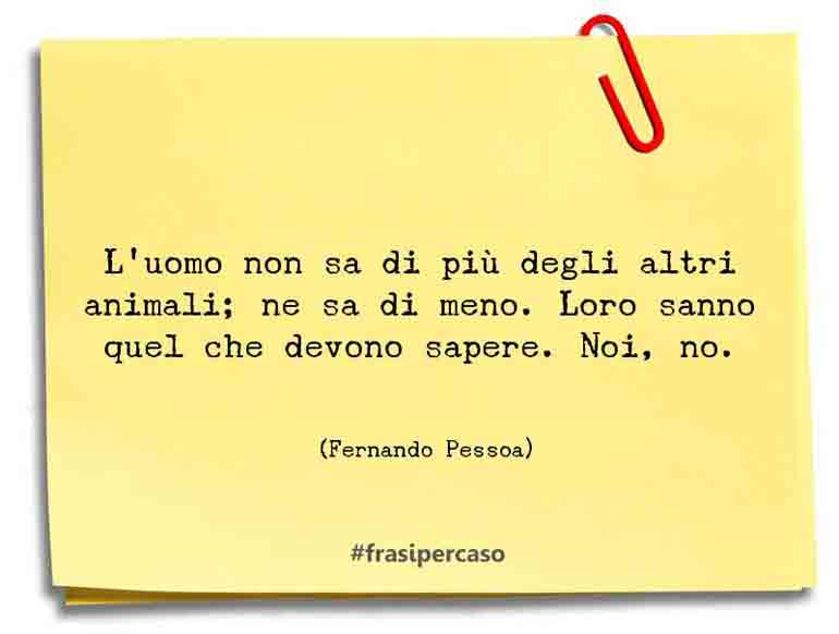 Una citazione di Fernando Pessoa by FrasiPerCaso.it