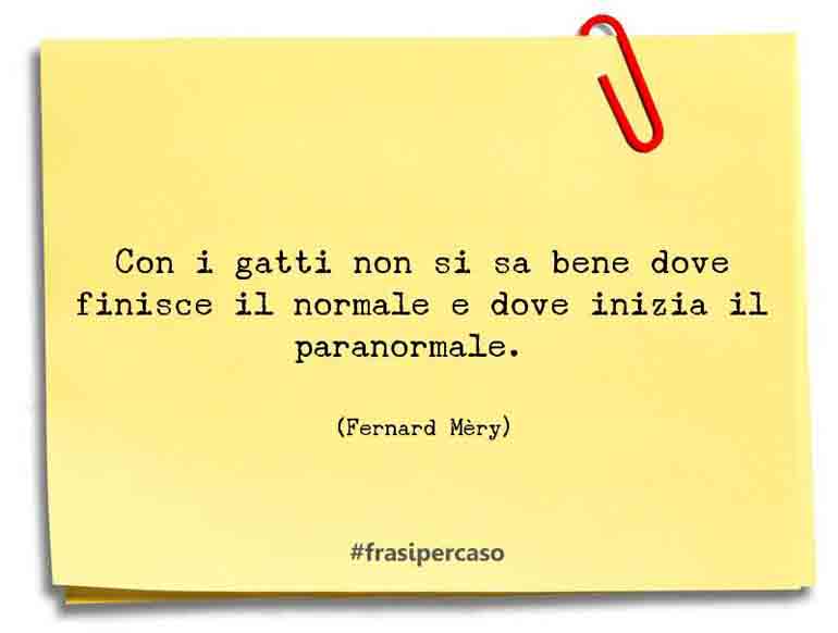 Una citazione di Fernard Mèry by FrasiPerCaso.it