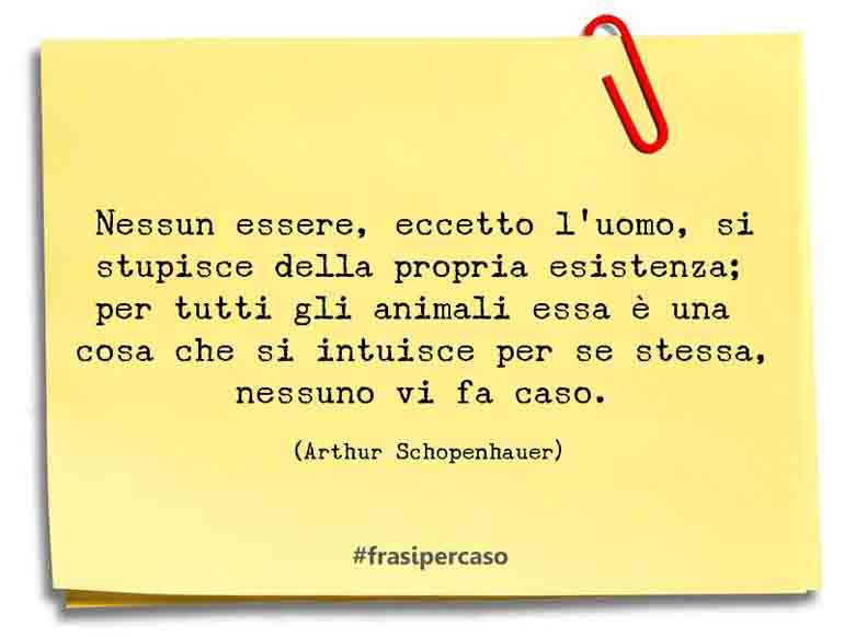 Una citazione di Arthur Schopenhauer by FrasiPerCaso.it