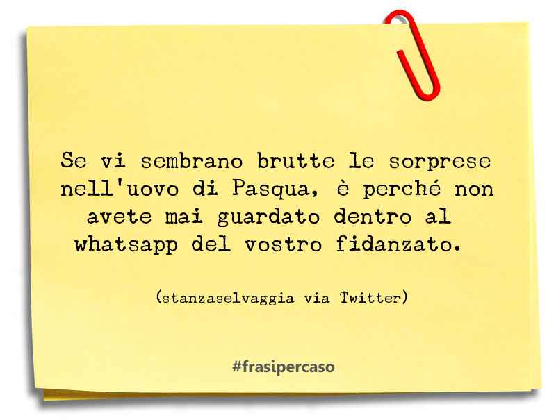 Una citazione di stanzaselvaggia via Twitter by FrasiPerCaso.it