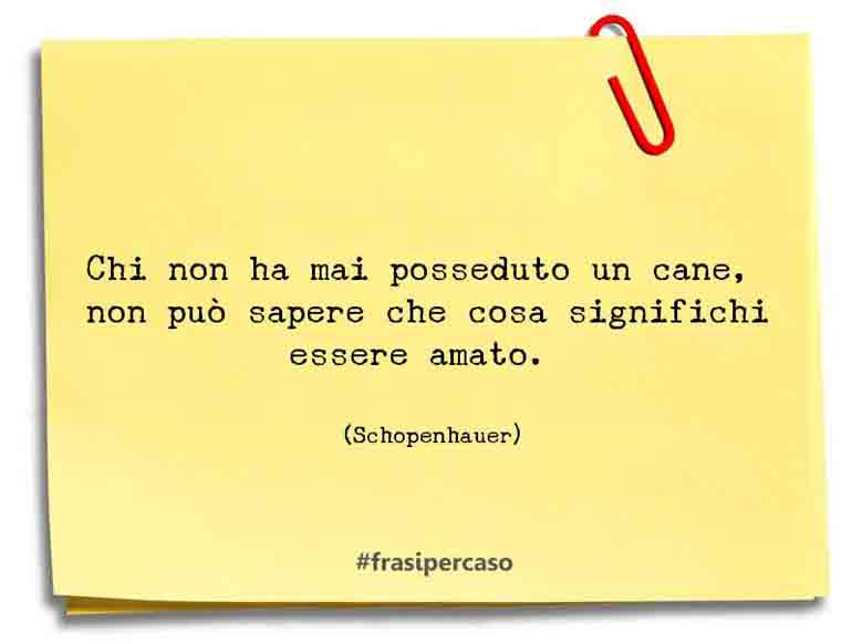 Una citazione di Schopenhauer by FrasiPerCaso.it