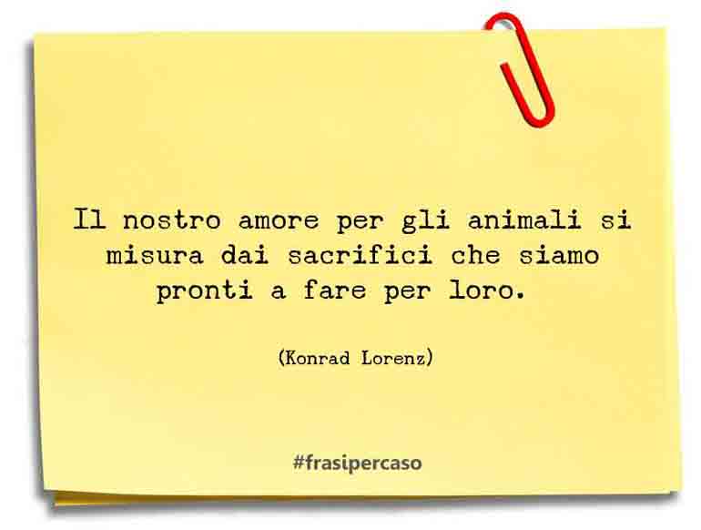 Una citazione di Konrad Lorenz by FrasiPerCaso.it