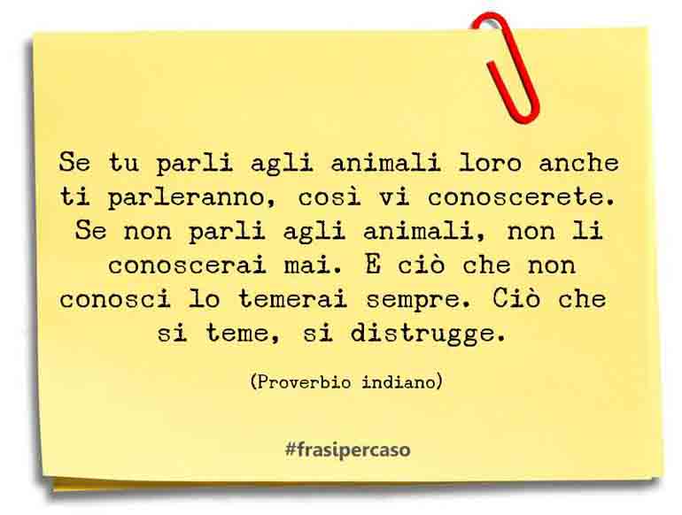 Una citazione di Proverbio indiano by FrasiPerCaso.it