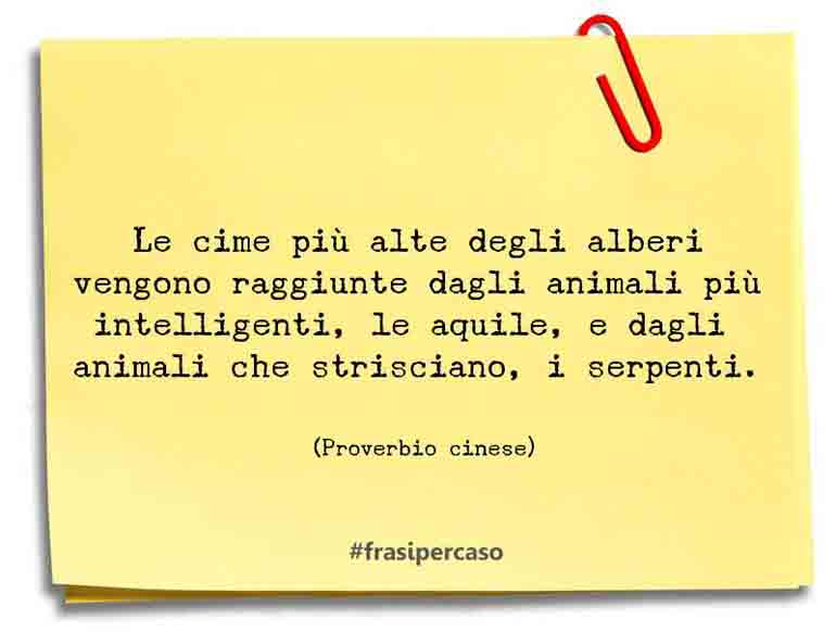 Una citazione di Proverbio cinese by FrasiPerCaso.it