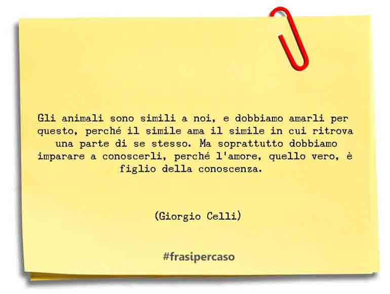 Una citazione di Giorgio Celli by FrasiPerCaso.it