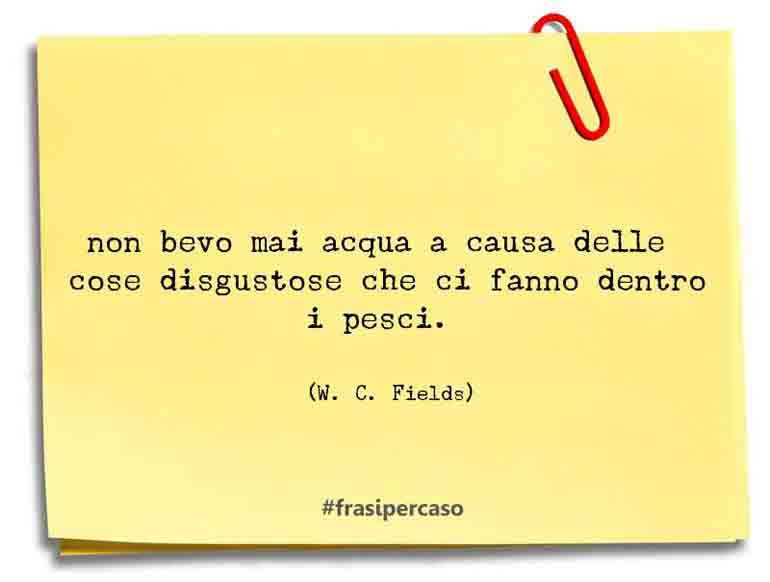 Una citazione di W. C. Fields by FrasiPerCaso.it